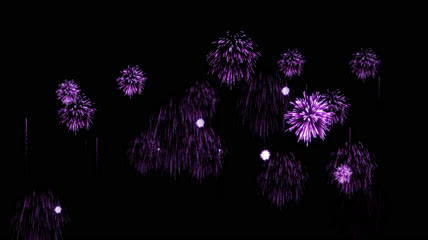 烟花群5