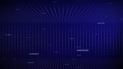 数字平台BG01