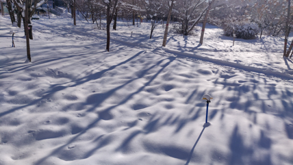 城市大雪后景观实拍