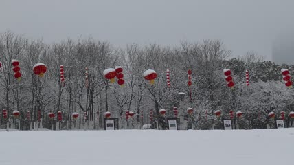 下雪灯笼实拍