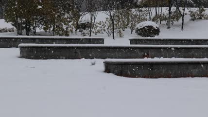 下雪台阶特写实拍