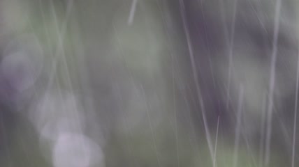 实拍毛毛细雨雨滴