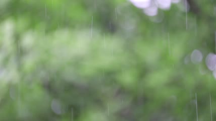 下雨天雨丝实拍清新空镜