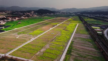 4k航拍农村油菜花