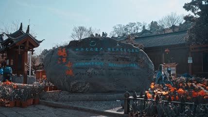 4k实拍丽江古城木府花伞1