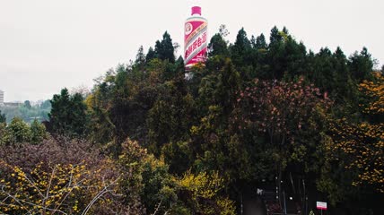 4k航拍贵州酒都仁怀天下第一瓶茅台酒瓶
