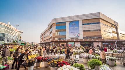 8k延时昆明斗南花卉市场