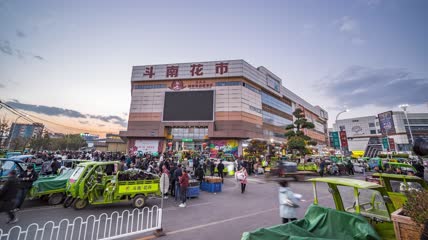 8k延时云南昆明斗南花卉市场日转夜