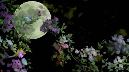 月下花朵背景视频