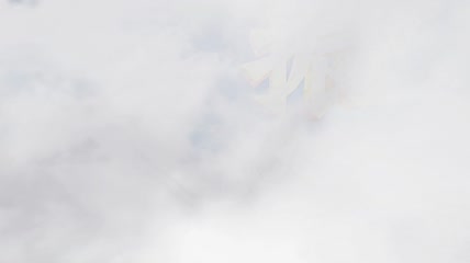 乡村振兴片头