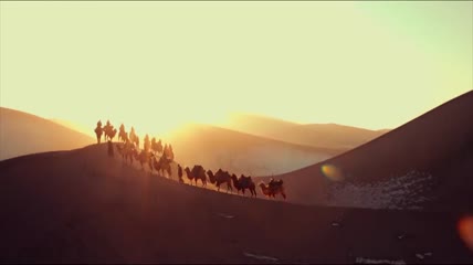 震撼壮观太阳光芒四射光晕 沙漠骆驼商队高清实拍