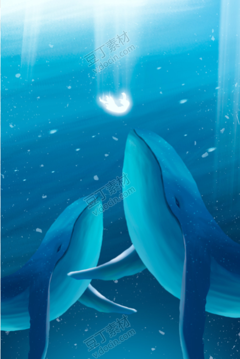 唯美鲸鱼手绘手机壁纸星空插图插画PSD设计素材(3)
