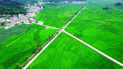 乡村田园4k航拍