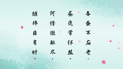 作蚕丝视频素材