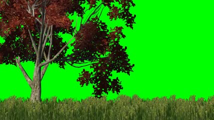 风吹树木草地动态绿屏抠像素材