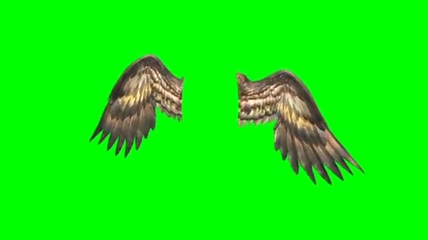 天使翅膀绿屏抠像素材