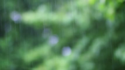 清新翠绿唯美大自然雨景高清视频素材