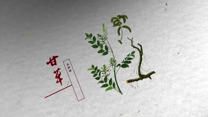 中国药典动画介绍