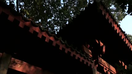 秋王城公园树叶飘落