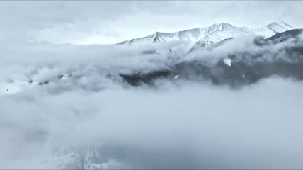白雪皑皑雪花新疆阿尔泰山雪山雪林