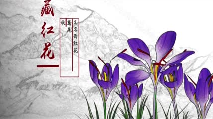 藏红花中医药典介绍古代丝绸之路路线地图