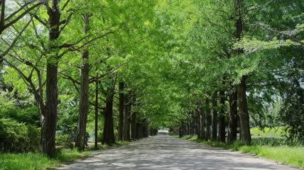 日本东京4K实拍视频素材