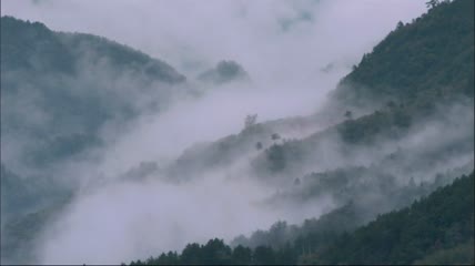 武当山打太极拳的道士视频素材