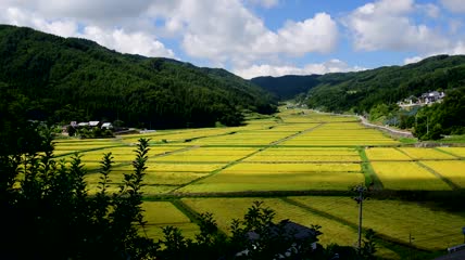 超唯美田野美景延时摄影