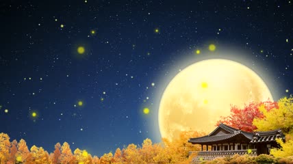唯美月色灿烂烟花高清视频素材