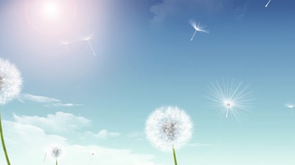 小清新蓝天蒲公英飞舞LED动态视频素材