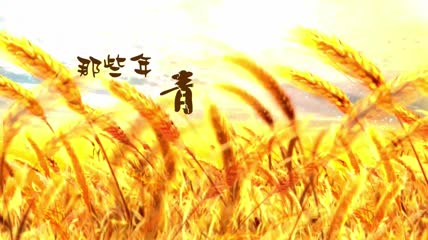 毕业电子相册