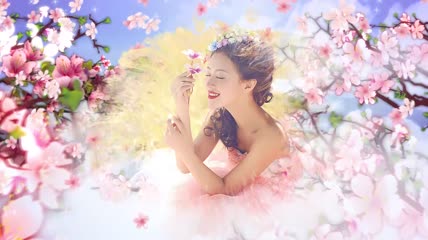 婚纱电子相册2