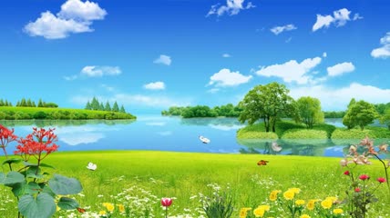 草地湖边花丛蝴蝶飞舞田原风景
