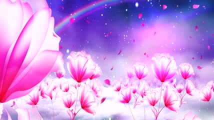 紫色水彩花花瓣飞舞婚礼彩虹led高清视频