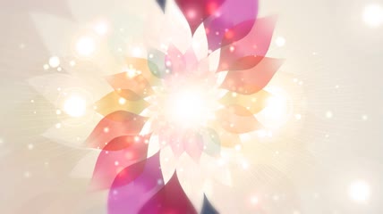梦幻花瓣螺旋旋转隧道循环背景高清视频素材