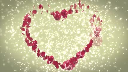 高清心形玫瑰花瓣浪漫婚礼背景视频
