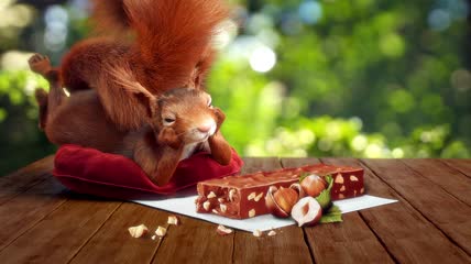 小松鼠和松果甜点可爱三维动画短片