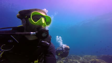 海底世界海底鱼群珊瑚海景