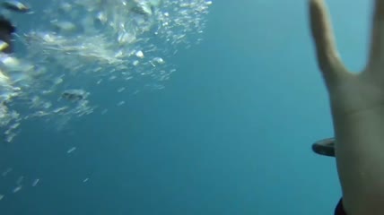 潜水员潜水海底世界手语交流旅行