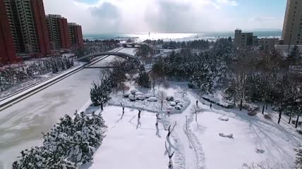 山东威海雪景高清实拍视频