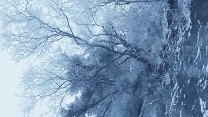 洛阳老君山雾凇高清实拍视频素材