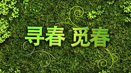 春天踏青旅游活动启动片头AE模板(CC2017)