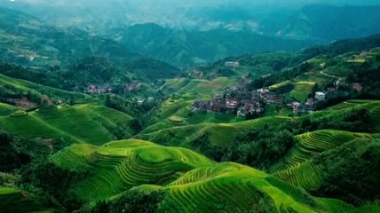 高清实拍梯田风光