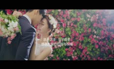 会声会影x8模板 最新韩式唯美小清新婚礼电子相册幻灯片求婚表白情人节