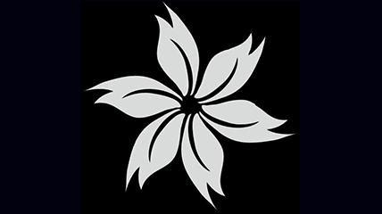 花纹花藤生长的动态素材