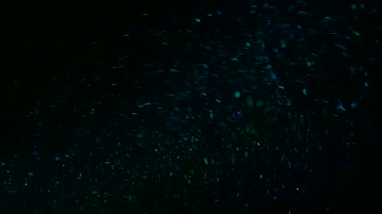 飞舞的粒子素材7