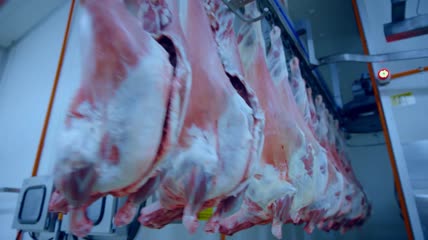 猪肉生产加工实拍