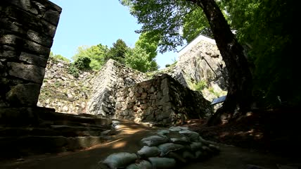 日本松山城堡