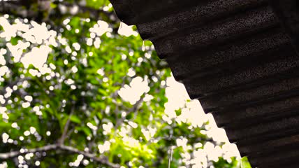 下雨实拍素材