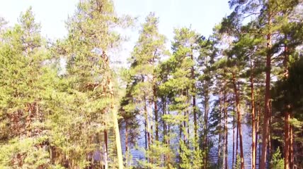 芬兰湖地区4K鸟瞰图